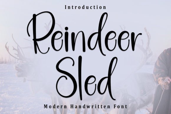 Reindeer Sled Font: A Designer’s Honest Review