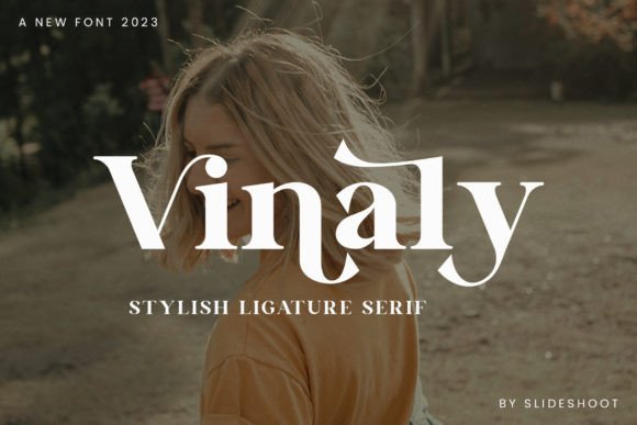 Vinaly: The Serif Font That Elevates Campaigns