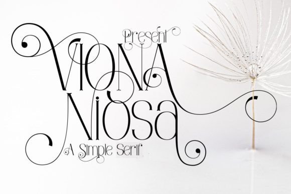 Viona Niosa: The Elegant Serif Font for Branding
